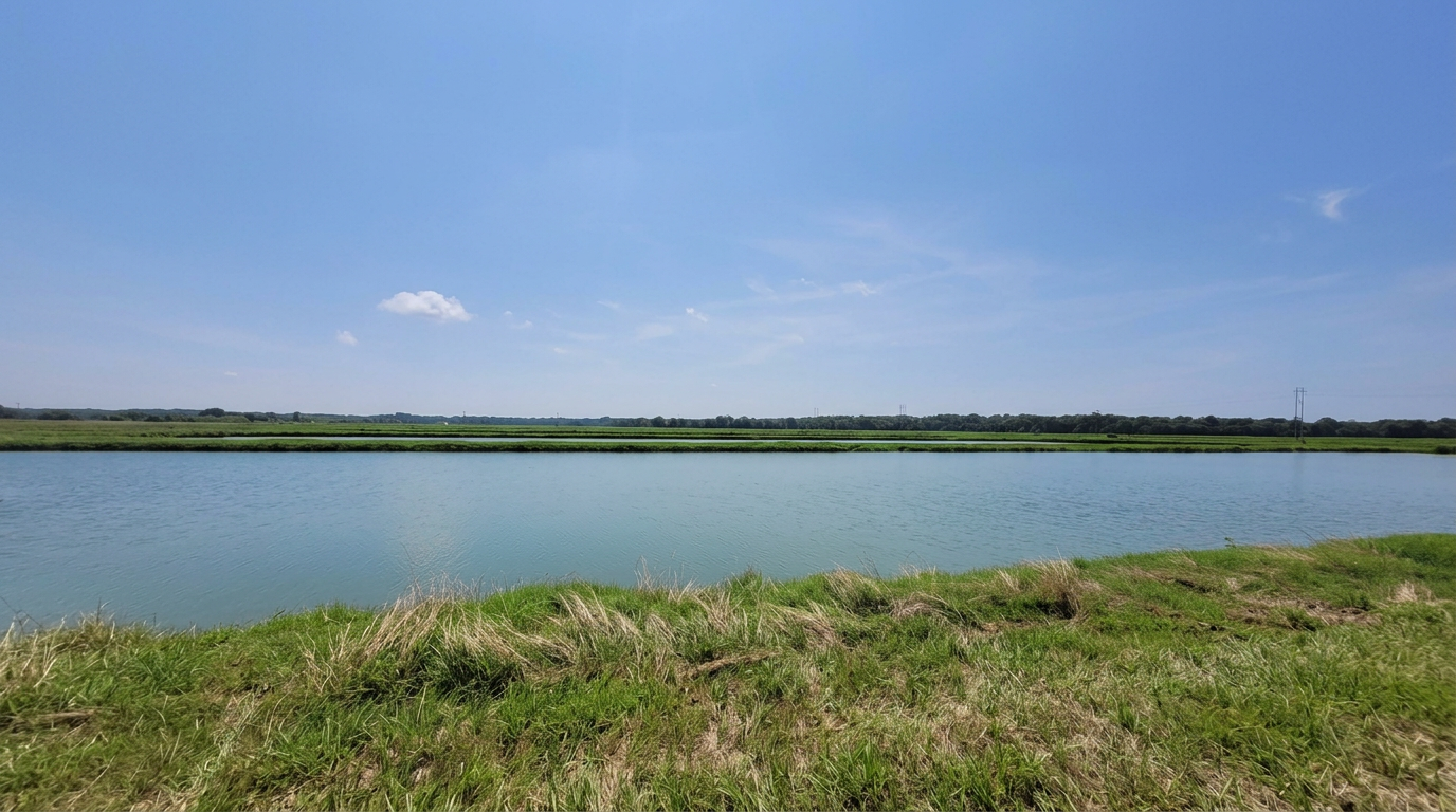 Fish ponds at I.F. Anderson Farms in Arkansas